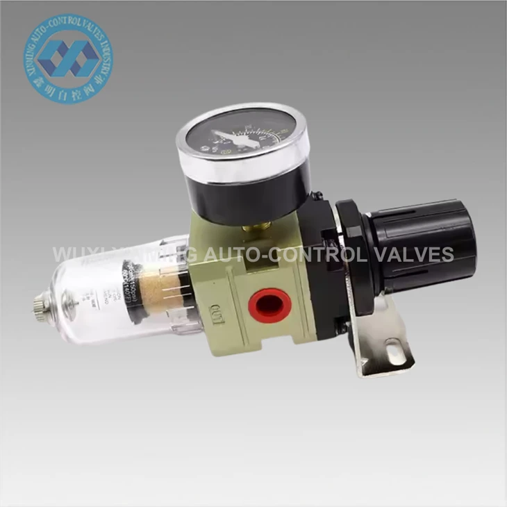info-1-1 AW2000-02 Precision Single-Stage Filter Regulator For Air Pumps