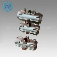 Actuador neumático de acero inoxidable: resistencia a la corrosión fuerte, adecuada para ambientes hostiles.